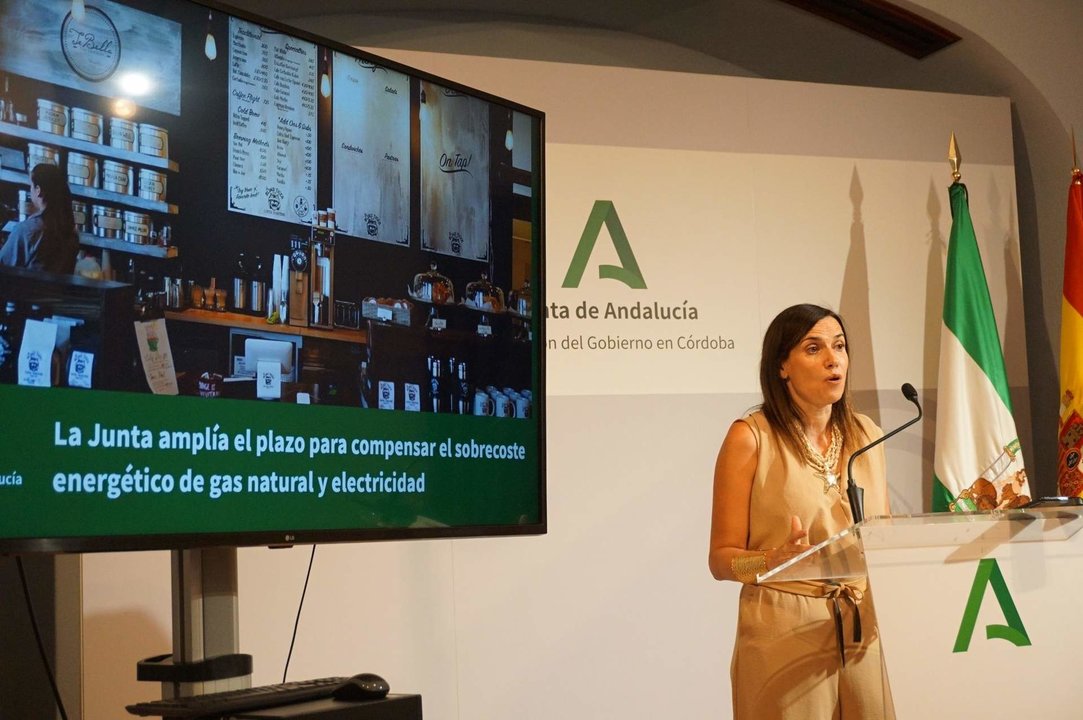 La delegada, María Dolores Gálvez, durante la rueda de prensa