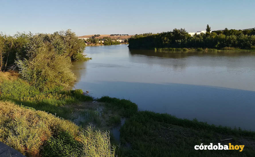 El río Guadalquivir a su paso por Córdoba capital