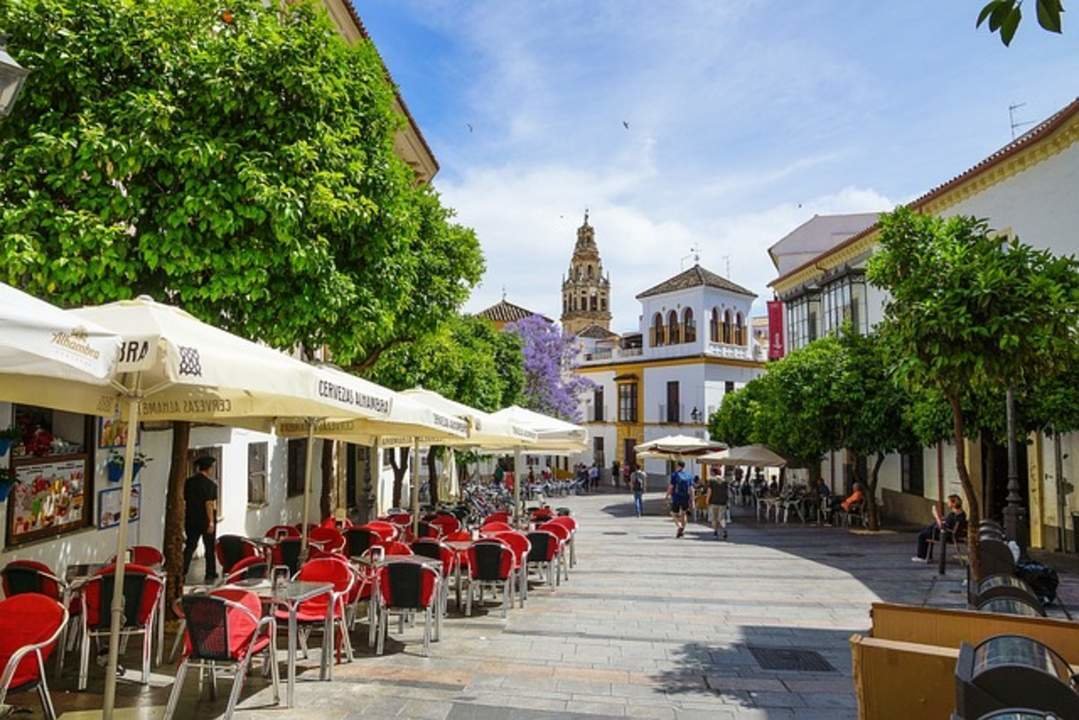  Los 5 mejores bares de tapas en Córdoba 