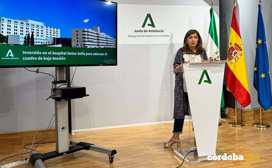 La delegada de Salud y Consumo de la Junta en Córdoba, María Jesús Botella, durante la rueda de prensa