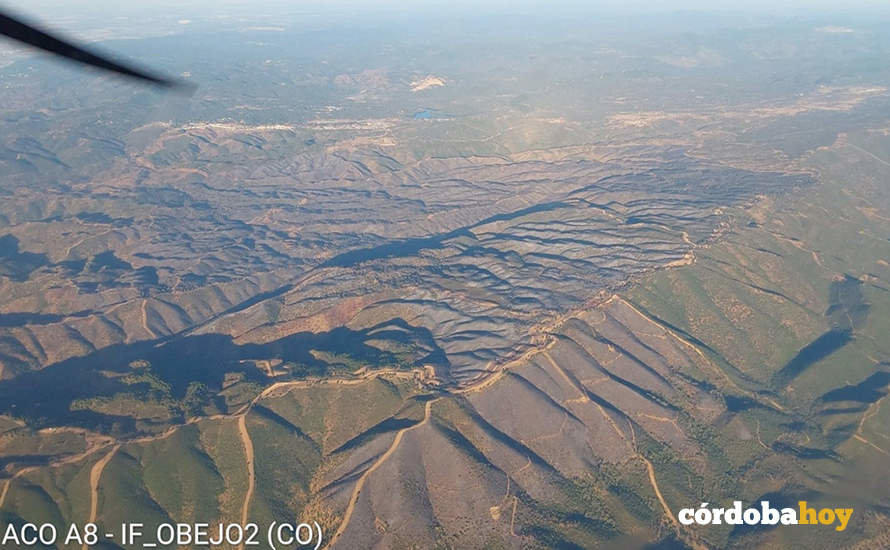 Vista aérea de los efectos del incendio en Obejo FOTO INFOCA