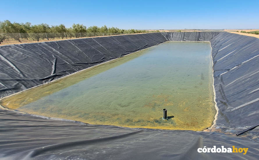 Balsa de almacenamiento no autorizada en una finca de la Campiña cordobesa FOTO CHG