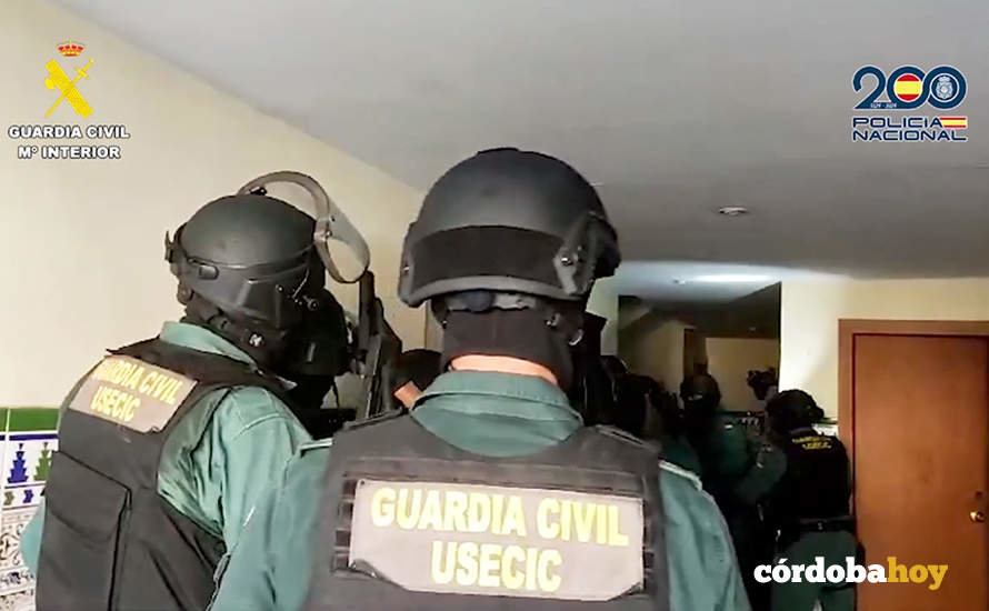 Operación Mole Sauro conjunta de Policía Nacional y Guardia Civil contra una banda de 'alucineros'