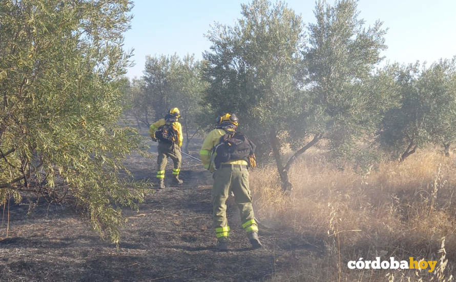 Actuación del Infoca en el incendio de Añora FOTO PLAN INFOCA