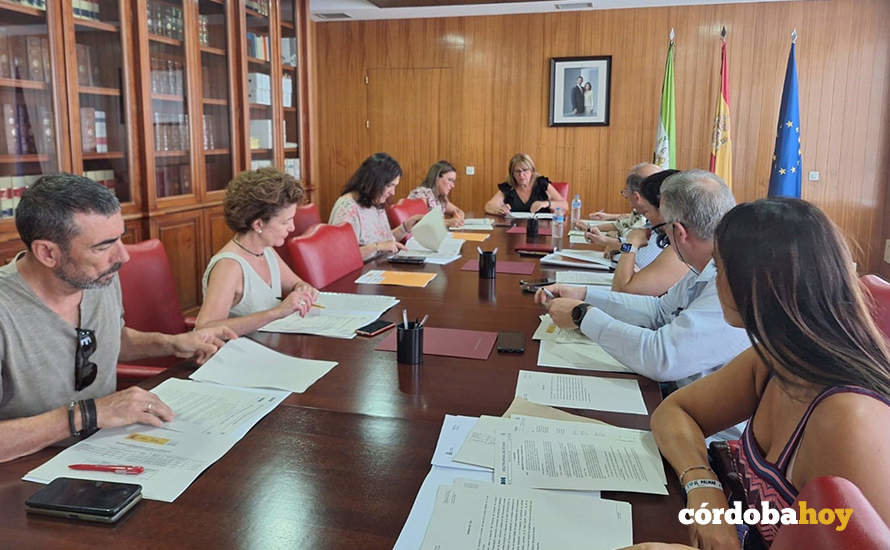 Reunión de la Comisión Provincial de Seguimiento del PFEA para el ejercicio 2024 en Córdoba FOTO SUBDELEGACIÓN DEL GOBIERNO