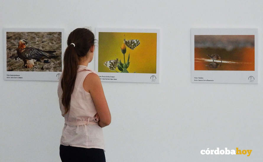 Muestra en el Aula de la Naturaleza de La Asomadilla en una imagen de archivo FOTO IMGEMA