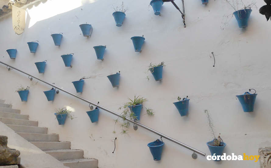 Las macetas secas del del Zoco FOTO ANDALUCÍA ENTRE TOD@S