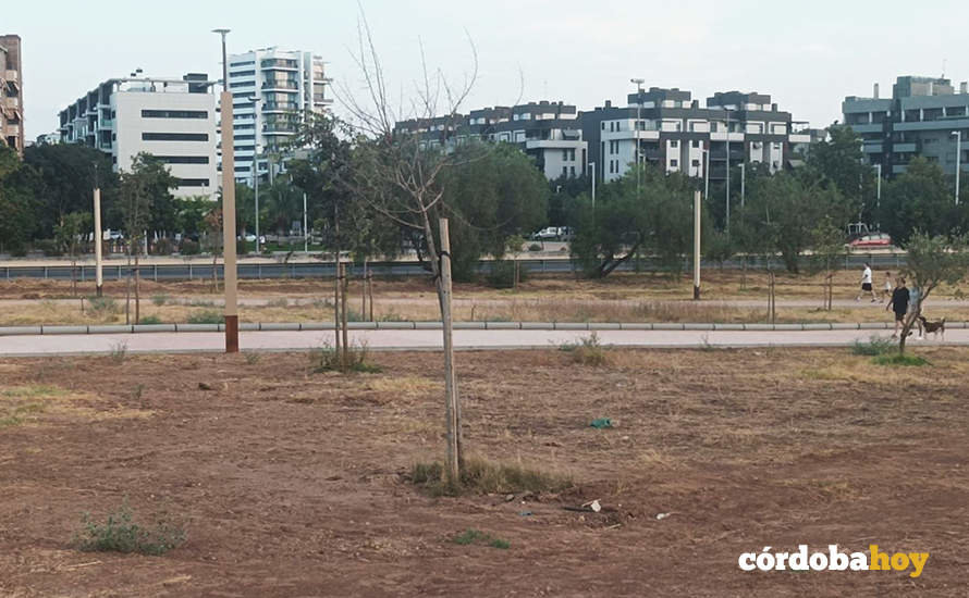 Imagen de uno de los parques del Anillo Vede que la Plataforma califica de %22anillo marrón%22 FOTO PLATAFORMA EN DEFENSA DEL ÁRBOL